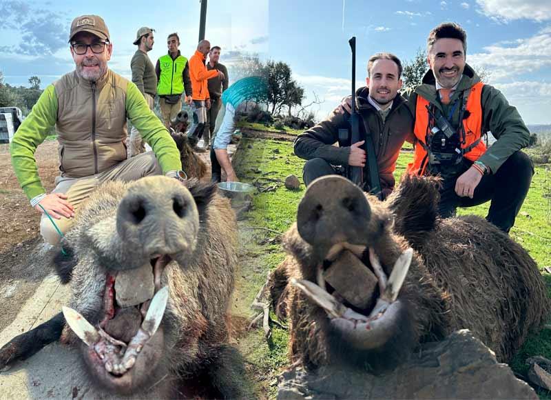 Resultado Montería Los Romerales 2024 Cabezas Servicios de Caza